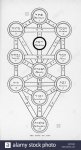 the-tree-of-life-of-the-jewish-caballa-variously-spelt-formed-from-G37XAD.jpg