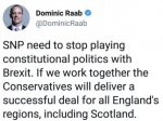 raab_idiot.jpg