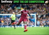 SpotTheZouma.jpg