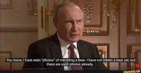 putin_bear.jpg