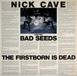 nick cave first born.jpg