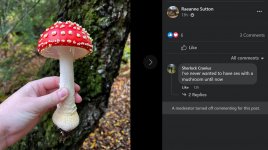 mushroom_wtf.jpg