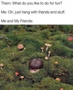 mushroom_friends.jpg