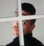 Pedro.jpg Pedro.jpg
