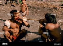 yanomami-indian-men-taking-yopo-snuff-venezuela-AKM99M.jpg
