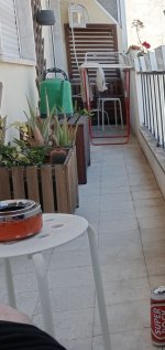 IMG_20230804_135526.jpg