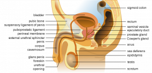 IMG_2148.png