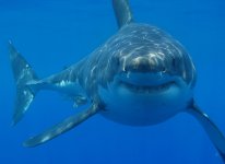IMG_2022.jpeg