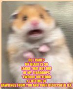 IMG_2028.jpeg