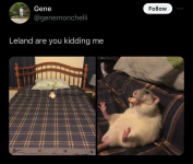 Tumblr_l_3967079693671677.png