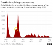 _130081698_line_uk_deaths-nc.png