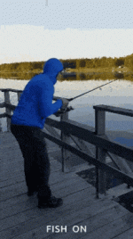 icegif-250.gif