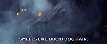 giphy (5).gif