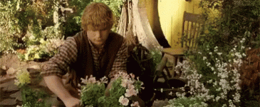 1000096761.gif