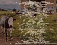 tracks flyer.jpg