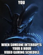1wglm5.jpg