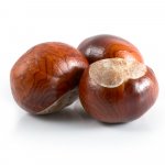 conker_113126020.jpg