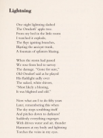 Screenshot 2024-09-01 at 18-11-35 Big blue train Paul Zimmer Free Download Borrow and Streamin...png
