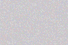 dynamic_multi_state_automata-1.gif
