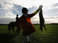 26-Fox-Hunting-1-Get.png