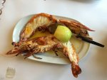 giant-tiger-prawn (1).jpg