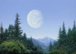 Endor_vue.jpg