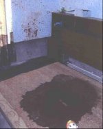 IMG_6228.jpeg
