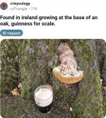 Screenshot_20240923_192742_Reddit.jpg