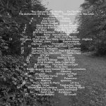 IMG_0812.jpeg