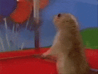 200w (1).gif