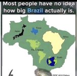 bigbrazil.jpg