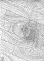 Scan 2 copy.jpeg