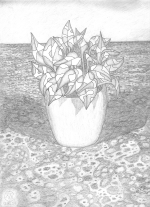 PothosOnGranitePlane Sketch copy.png