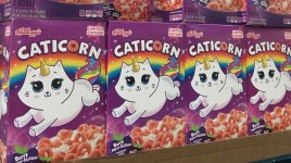 caticorn.jpg