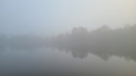 20241226_142034.jpg