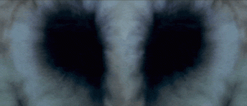 1736774934193.gif