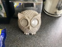 IMG_7181.jpeg