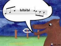 bear.jpg