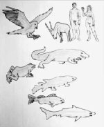 IMG_7211.jpeg