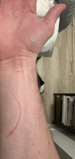 IMG_9563.jpeg