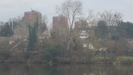 20250131_151551.jpg