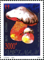 1740388135521.png