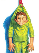 1740683992746.png