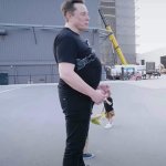 MuskPregnant.jpg