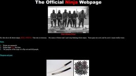 ninjas.jpg