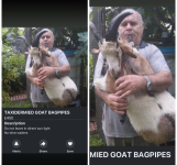 Screenshot_20250404-172759.png