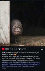 IMG_1399.jpeg