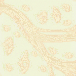 PlasmaticBloom copy.png