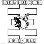 1747344824461.png