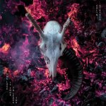 20-colin-stetson-the-love-it-took-to-leave-you-1.jpg